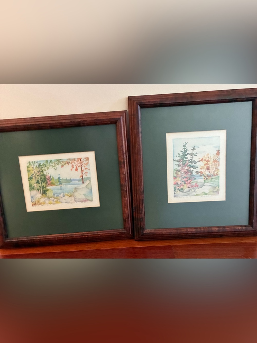 Framed Watercolour Paintings by WE Carswell